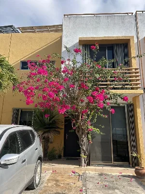 3-Bedroom House for Sale with Roof Garden | Yikal Residential — photo 2