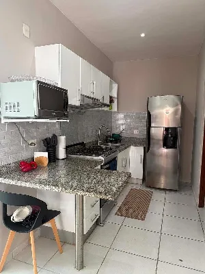 Departamento Amueblado en Renta en Planta Baja en Long Island Springs — foto 5
