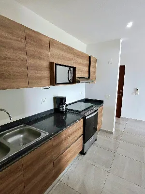 Departamento Amueblado en Renta en Residencial Long Island — foto 7