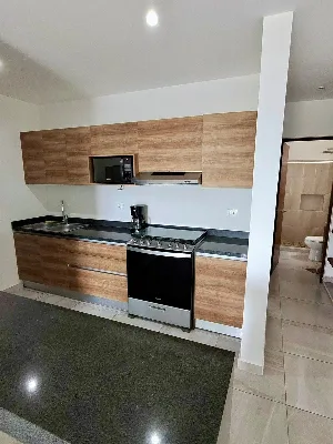 Departamento Amueblado en Renta en Residencial Long Island — foto 6