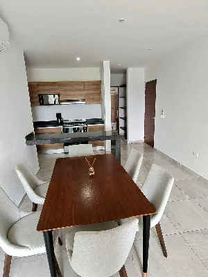 Departamento Amueblado en Renta en Residencial Long Island — foto 5